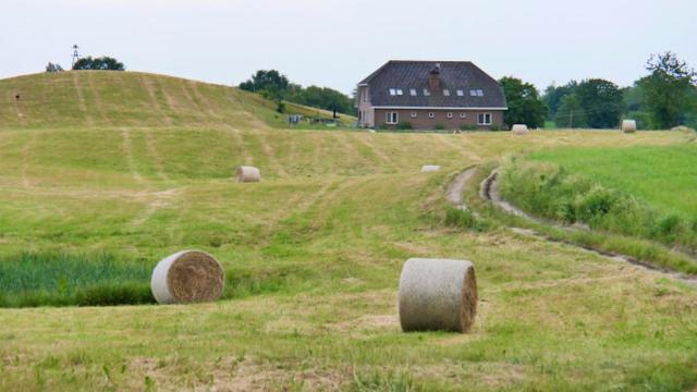Damhills Apartments Bronowko Eksteriør billede